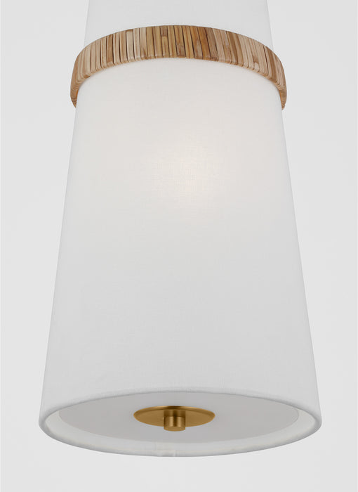 Suspension simple Cordtlandt